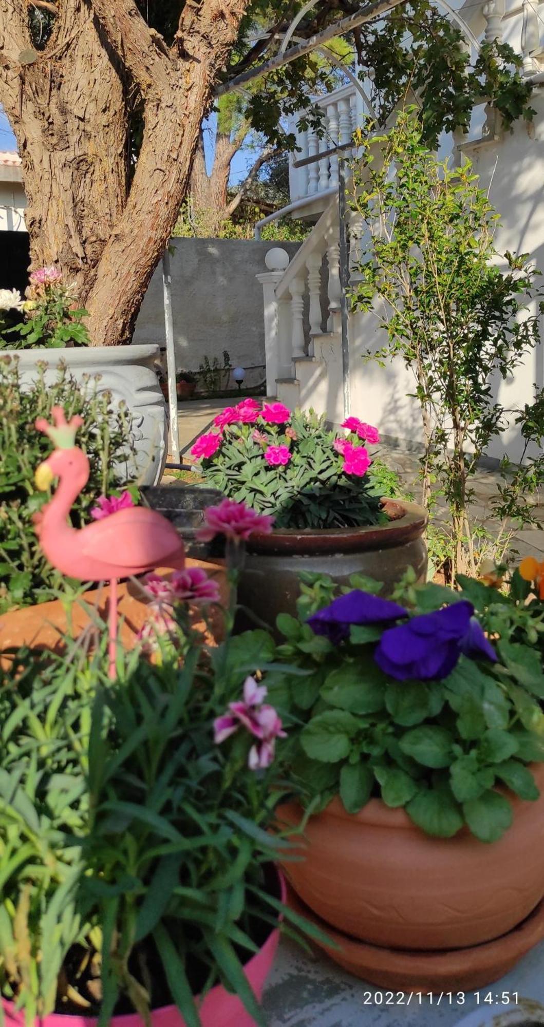 Secret Garden Home Lagonissi Attiki Foinikia  Bagian luar foto