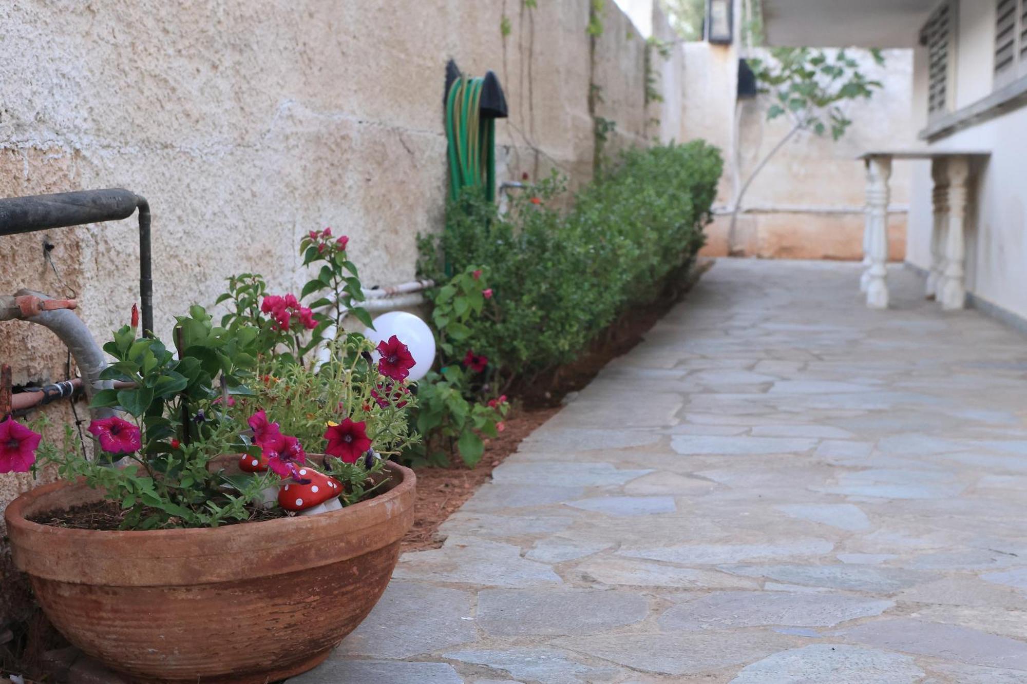 Secret Garden Home Lagonissi Attiki Foinikia  Bagian luar foto