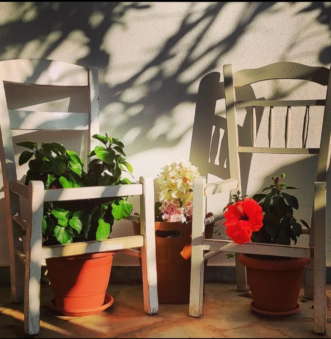 Secret Garden Home Lagonissi Attiki Foinikia  Bagian luar foto