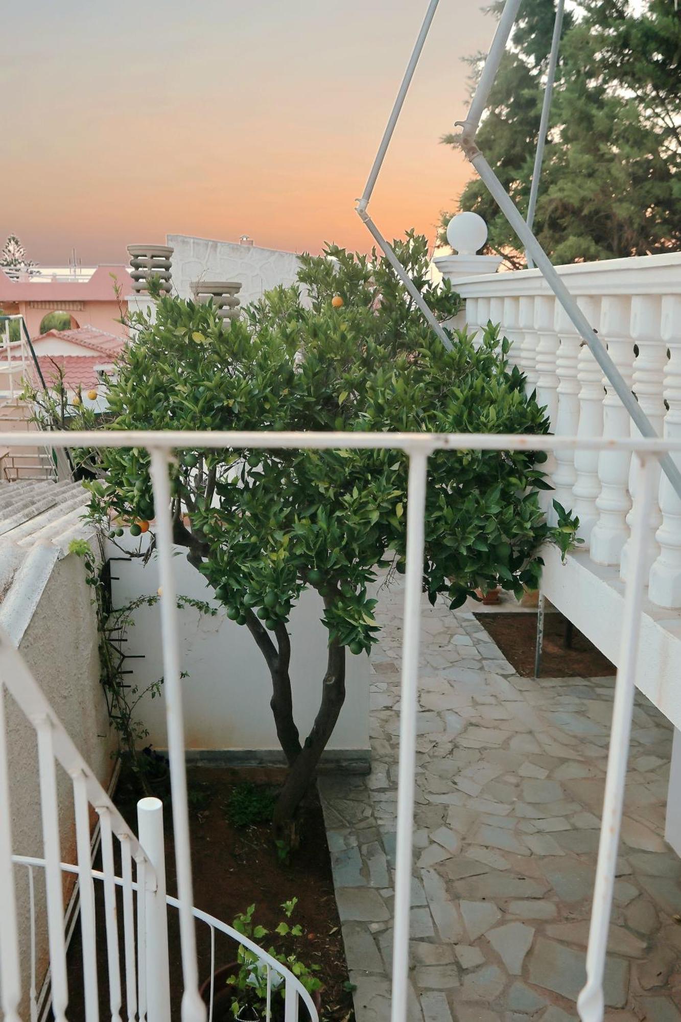 Secret Garden Home Lagonissi Attiki Foinikia  Bagian luar foto